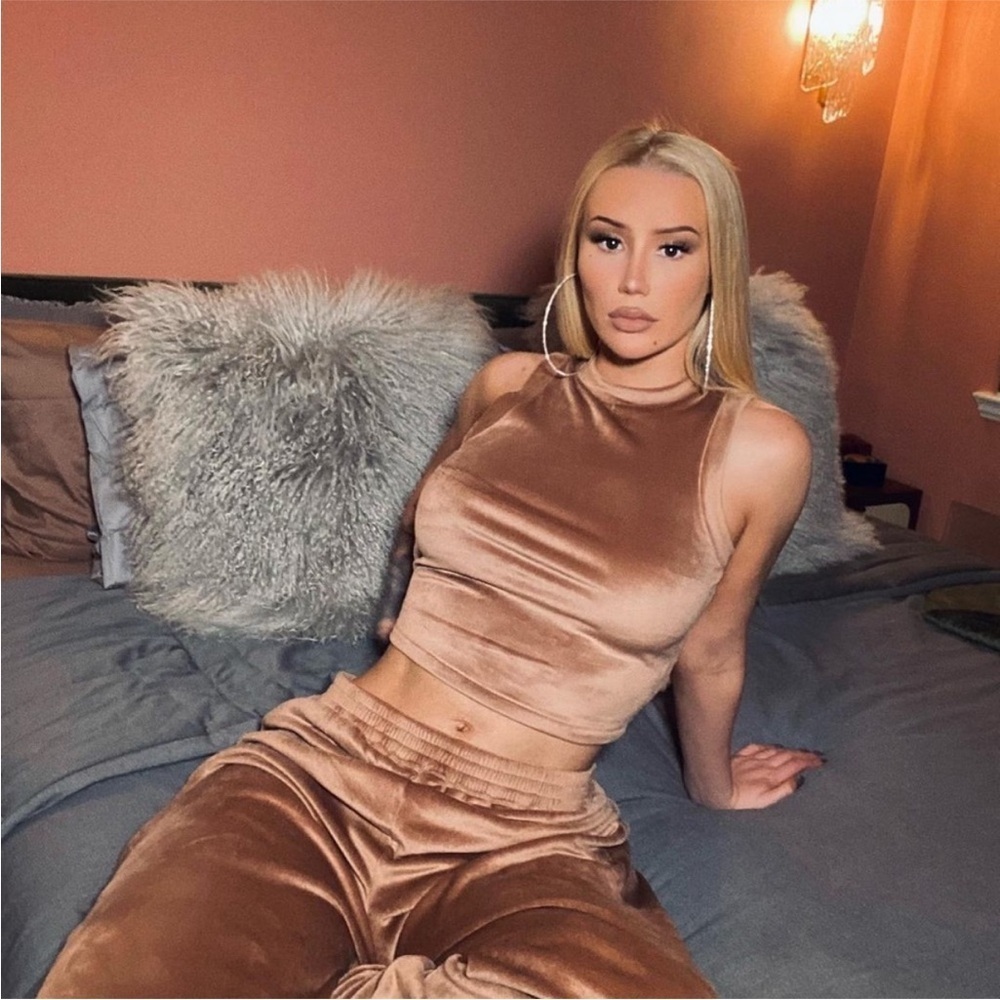 NWT Skims Velour Crew Neck Tank in Sienna